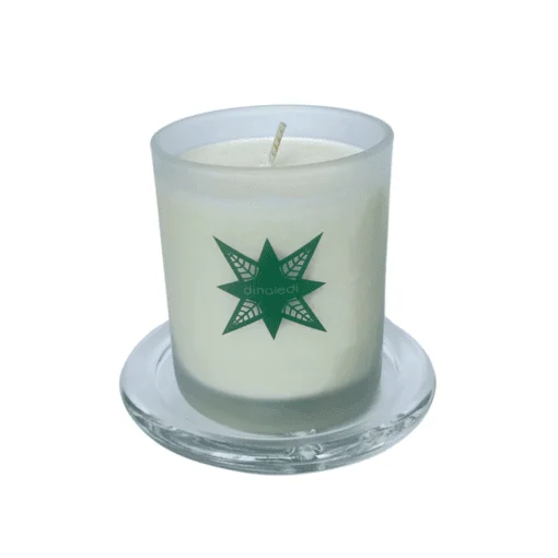 soylite candle