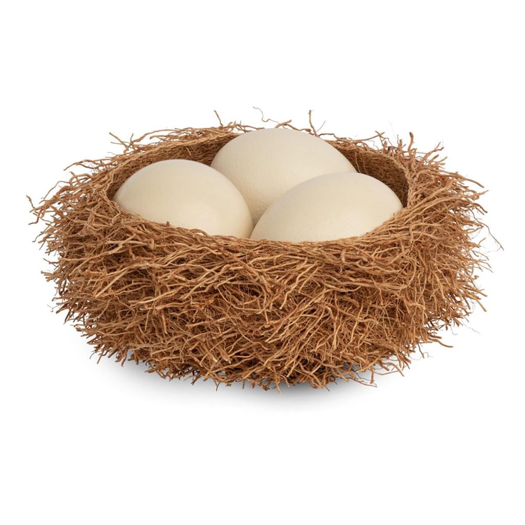 ostrich egg