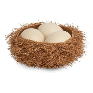 ostrich egg